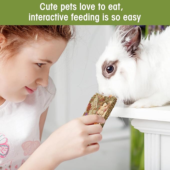 Abizoo Rabbit Natural Treats,10Pcs Timothy Hay Toys Chips Bunny chew Toys with Herbal Flowers Guinea Pig Treats for Hamster Chinchillas Gerbils Rats Small Animals Teeth Care Crisp Snacks-Mewly Pet