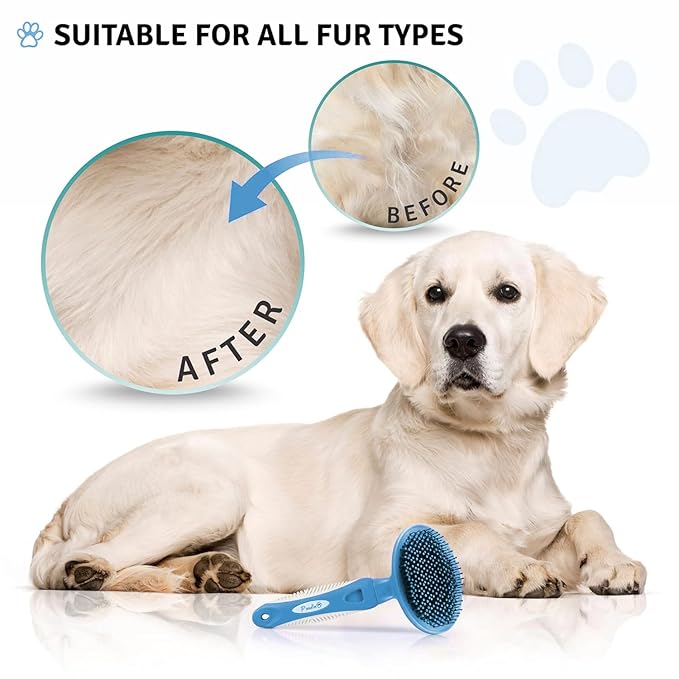 Round Bristle Pet Brush for Dogs and Cats - Soft Dog Brush for Grooming Short or Long Hair - Gentle Tool for Sensitive Skin Removes Dander, Dirt, and Detangles (Blue)-Mewly Pet