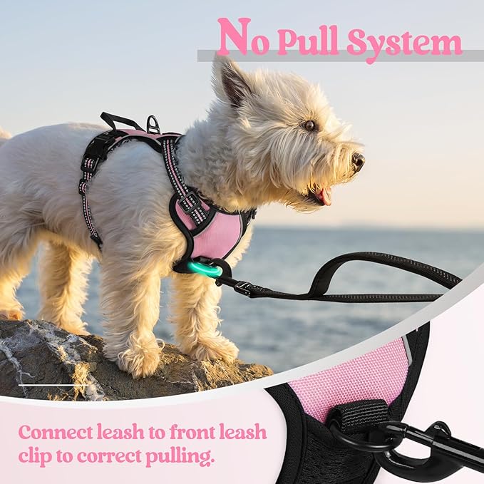rabbitgoo Dog Harness No Pull with 2 Leash Clips, Adjustable Soft Padded, Reflective Oxford No Choke Pet Vest with Easy Control Handle for Puppy, Pink, XS-Mewly Pet