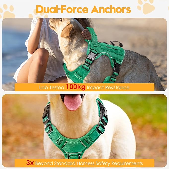 Heavy-Duty Tactical Dog Harness for Large Dogs, No Pull Adjustable Reflective Pet Vest with Molle System, K9 Military-Grade Control for Service Training, Outdoor & 10+ Breeds, Turquoise, Small-Mewly Pet