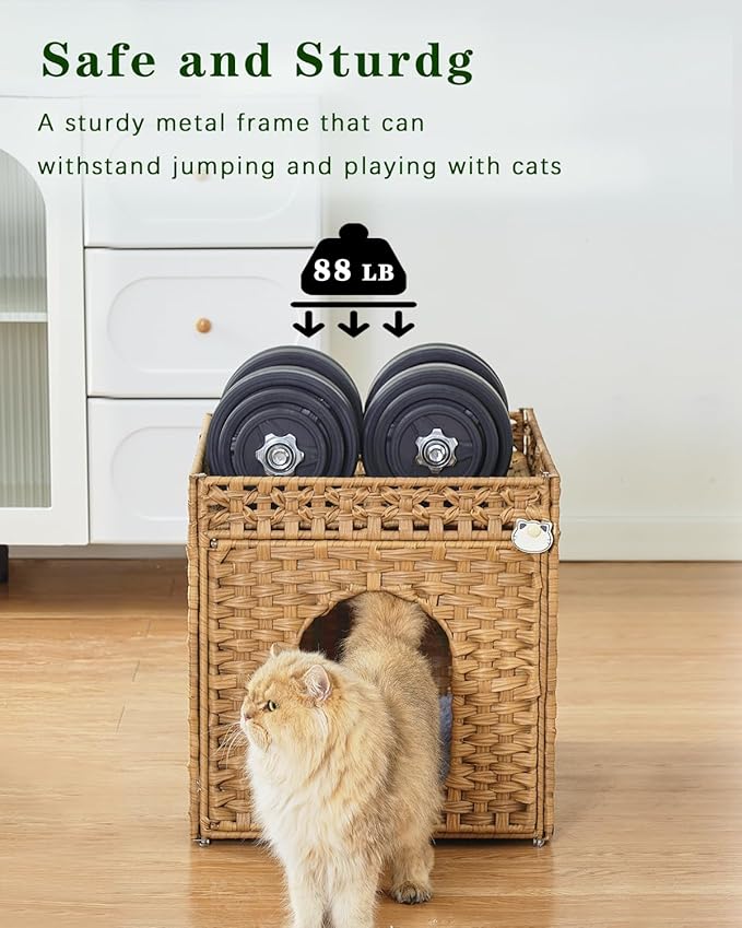 Cat Beds for Indoor Cats Extra Large Double Cat Cave Pet Cube, Handwoven Rattan Cat Houses with Double-Sided Soft Cushions, 18.5 x 20.5 x 19.1 Inches Foldable Hideaway in Living Room Natural-Mewly Pet