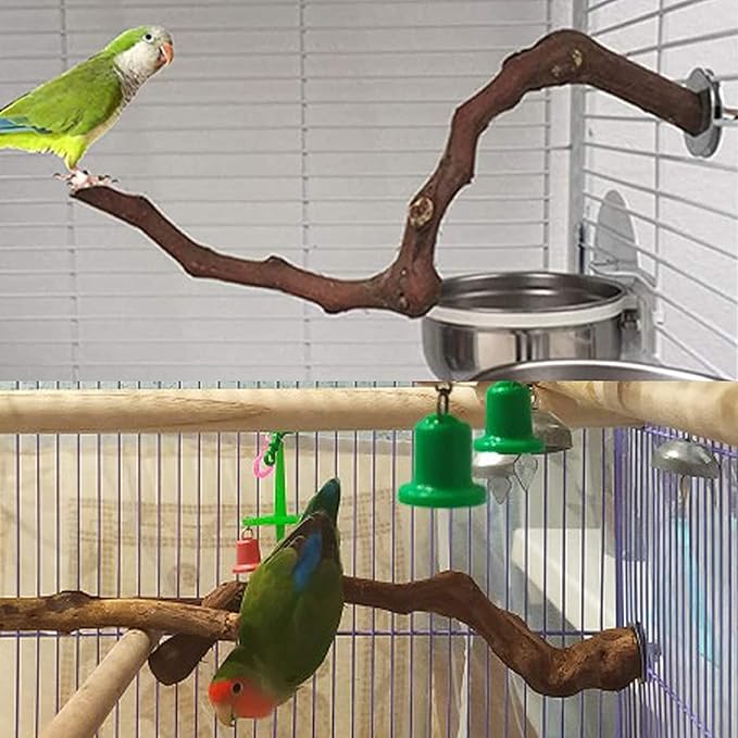 kathson Natural Parrot Perch Bird Stand Pole Wild Grape Stick Paw Grinding Fork Parakeet Climbing Standing Branches Toy Chewable Cage Accessories for Small Budgies Cockatiels Lovebirds 4PCS-Mewly Pet