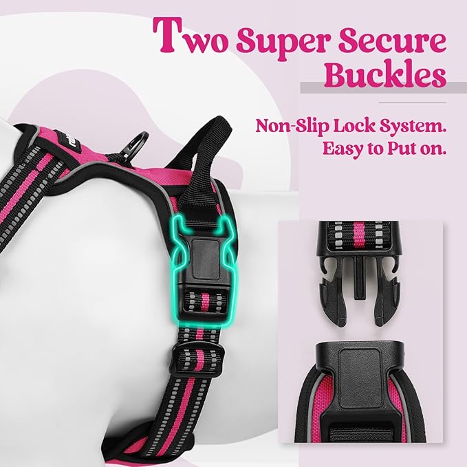 rabbitgoo Dog Harness No Pull with 2 Leash Clips, Adjustable Soft Padded, Reflective Oxford No Choke Pet Vest with Easy Control Handle for Medium Sized Dogs, Hot Pink, M-Mewly Pet