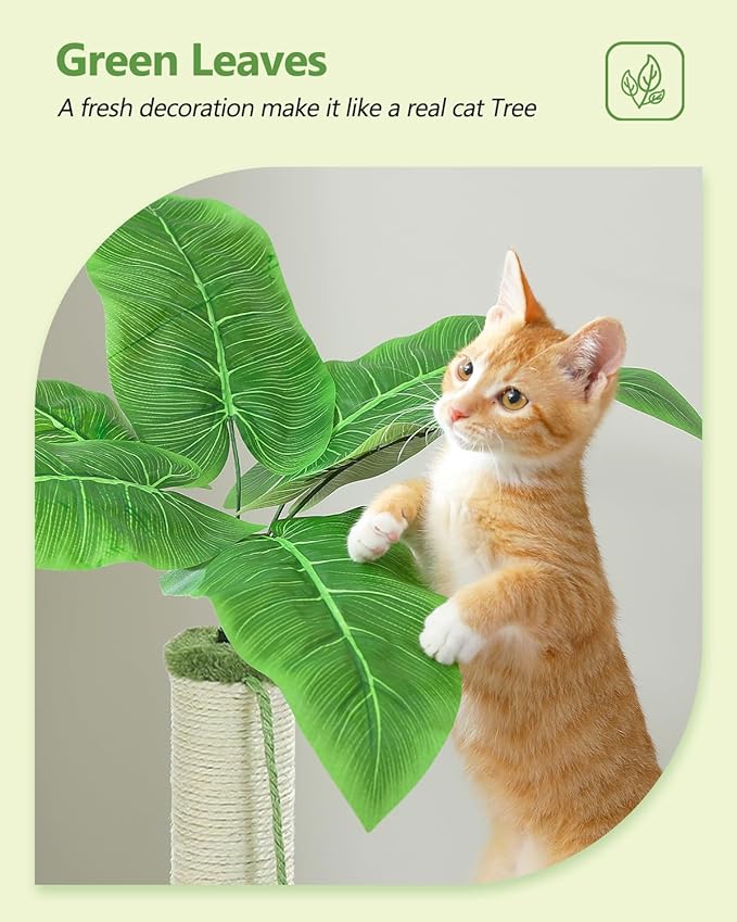 Small Cat Tree, 28" Cat Tower with Sisal Scratching Posts and Coconut Leaves for Indoor Small Cats, Large Hammock and Dangling Ball for Kittens, Green-Mewly Pet