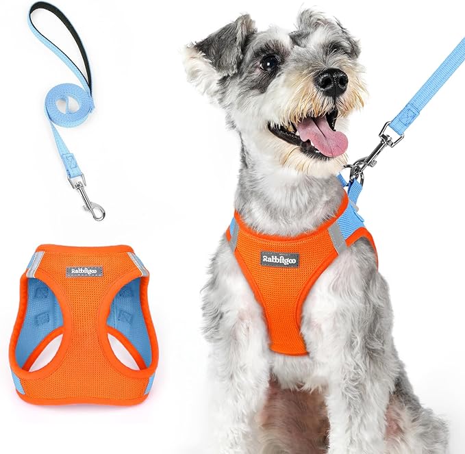 rabbitgoo Dog Harness Small Medium Sized and Leash Set, Step in Soft Light Puppy Vest, Breathable Mesh Pet Harness, Reflective for Safe Easy Walking, Blue & Orange XL-Mewly Pet