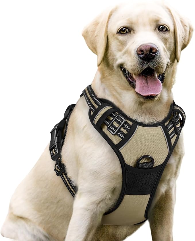 rabbitgoo Dog Harness No Pull with 2 Leash Clips, Adjustable Soft Padded, Reflective Oxford No Choke Pet Vest with Easy Control Handle for Large Dogs, Beige, L-Mewly Pet