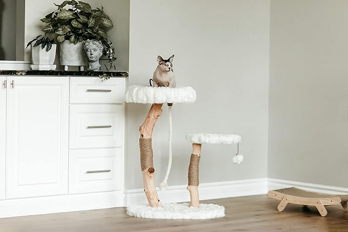 Mau Lifestyle Luxury Cat Tree: Modern Cat Condo & Luxury Wood Cat Tower; Natural Branch Scratching Tree & Cat Condo; Cat Gifts by Mau-Mewly Pet