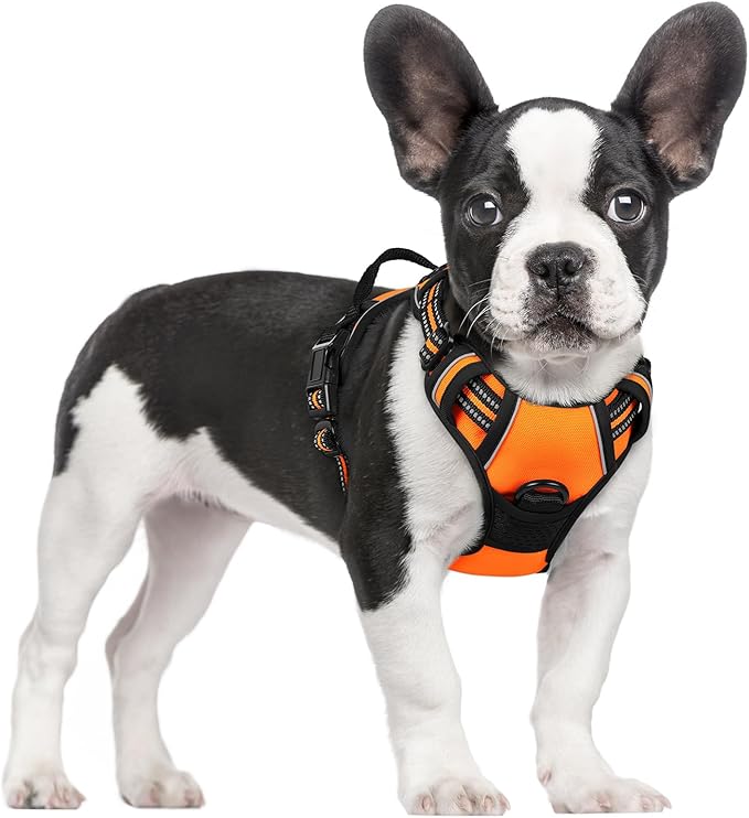 rabbitgoo Dog Harness No Pull with 2 Leash Clips, Adjustable Soft Padded, Reflective Oxford No Choke Pet Vest with Easy Control Handle for Small Dogs,Orange,S-Mewly Pet
