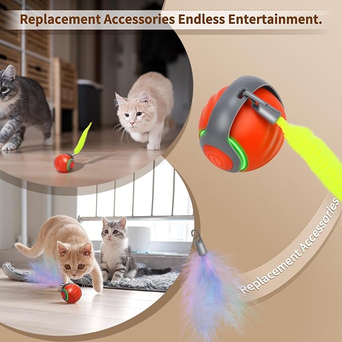 Speedy Tail 2.0 Interactive Cat Toy – Smart Self-Rolling Cat Ball with Feather Tail, Automatic Moving Motorized Toy for Indoor Cats, Chasing & Hunting Fun (Orange)-Mewly Pet