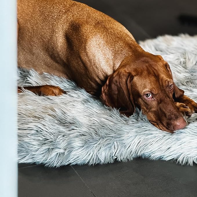 IHAPPYDOG Luxury Faux Fur Orthopedic Dog Bed, Memory Foam Dog Bed for Small, Medium, Large and XL Pets, Fluffy Pet Bed with Waterproof and Washable Cover (Grey, 40"x25")-Mewly Pet