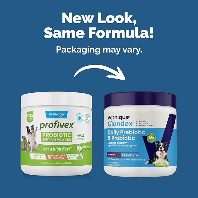 Vetnique Glandex Daily Probiotics for Dogs with Prebiotics to Support Gut Health with Fiber and Digestive Enzymes, Probiotic Chews or Powders (4.25oz Powder, Pork Powder)-Mewly Pet