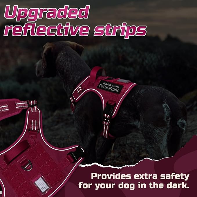rabbitgoo Tactical Dog Harness Medium Sized Dog, No Pull Military Service Vest with Handle & Molle, Easy Control for Training Walking, Adjustable Reflective Straps, Rose Red, M-Mewly Pet