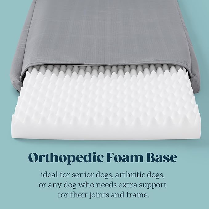 Cybarmour Indestructible Dog Bed - Outdoor Waterproof Chew Proof Dog Crate Pad - Orthopedic Kennel Mat for Aggressive Chewers - Small Breeds & Fits 24-Inch Crate - 23"x16", Limestone-Mewly Pet