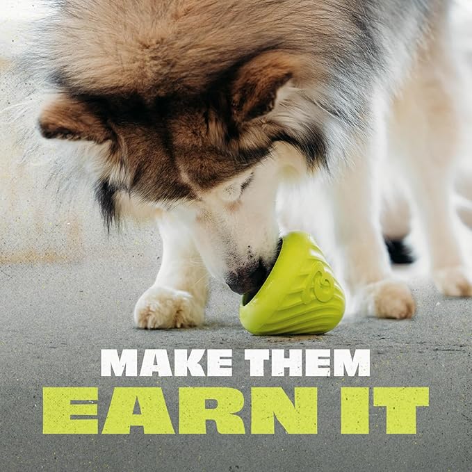 Benebone Natural Rubber Cone Interactive Enrichment Treat Dispensing Dog Toy - Slow Feeder - Great for Meals and Boredom-Mewly Pet