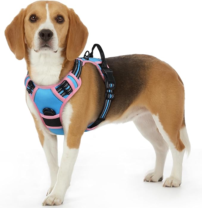 Eagloo Dog Harness Small Sized Dog, No Pull Service Vest with Reflective Strips and Control Handle, Adjustable and Comfortable for Walking, No Choke Pet Harness with 2 Metal Rings, Pink & Blue, S-Mewly Pet