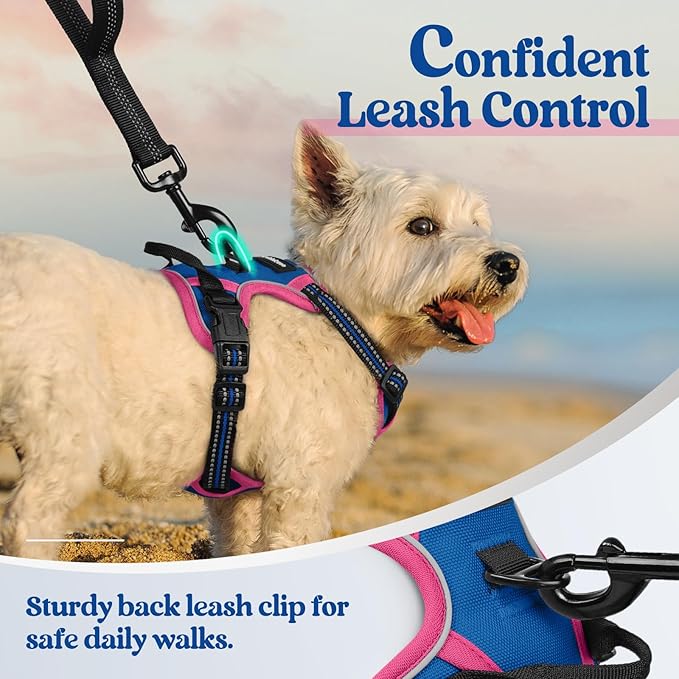 rabbitgoo Dog Harness No Pull with 2 Leash Clips, Adjustable Soft Padded, Reflective Oxford No Choke Pet Vest with Easy Control Handle for Large Dogs, Blue & Hot Pink, XS-Mewly Pet