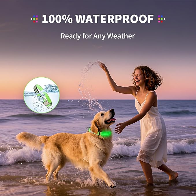 LED Dog Collar with Metal Buckle - USB Rechargeable Glow Collar for Dogs, Waterproof Light Up Dog Collar w/Reflective Strips - Adjustable Night Safety Collars by PetIsay(Green,Large)-Mewly Pet