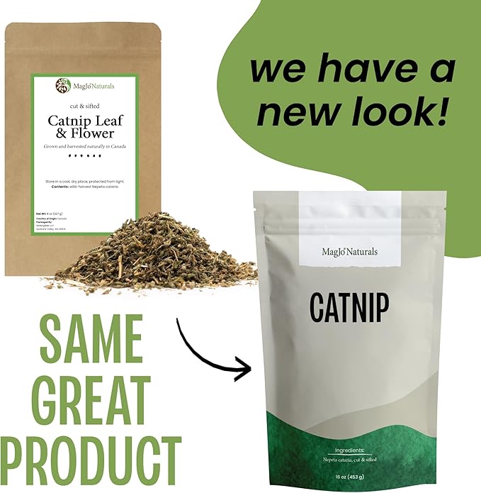MagJo Naturals Farm Direct Catnip | Freshest Available | Bulk Bag (Half Pound)-Mewly Pet