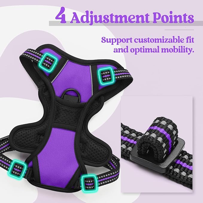 rabbitgoo Dog Harness No Pull with 2 Leash Clips, Adjustable Soft Padded, Reflective Oxford No Choke Pet Vest with Easy Control Handle for Puppy, Purple,XS-Mewly Pet