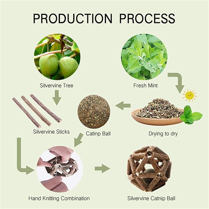 Catnip Toys-2Pcs Natural Silvervine Stick Catnip Ball&Bell Ball-Cat Toys for Indoor Cats- Cleaning Teeth Molar Tools Matatabi Cat Chew Toy-Kitten Toys All Breeds-Mewly Pet