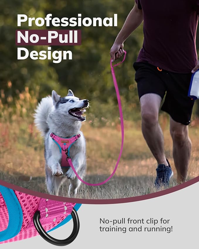 MIDOG No-Pull Dog Harness | Adjustable & Reflective Pet Harness Leash Set for Small Medium Large Dogs Walking, Training| No Choke, Front Clip, Soft Padded Vest with Easy Control Handle - Pink, M-Mewly Pet