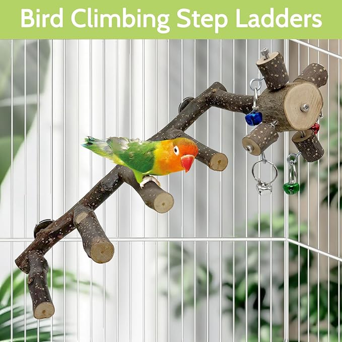 BNOSDM Natural Wood Bird Ladder Perch 6Pcs Parrot Stand Branches Climbing Chewing Stick Parakeet Swing Toys Cage Accessories Paw Grinding Fork Sets for Lovebirds Cockatiels Conure Budgies-Mewly Pet