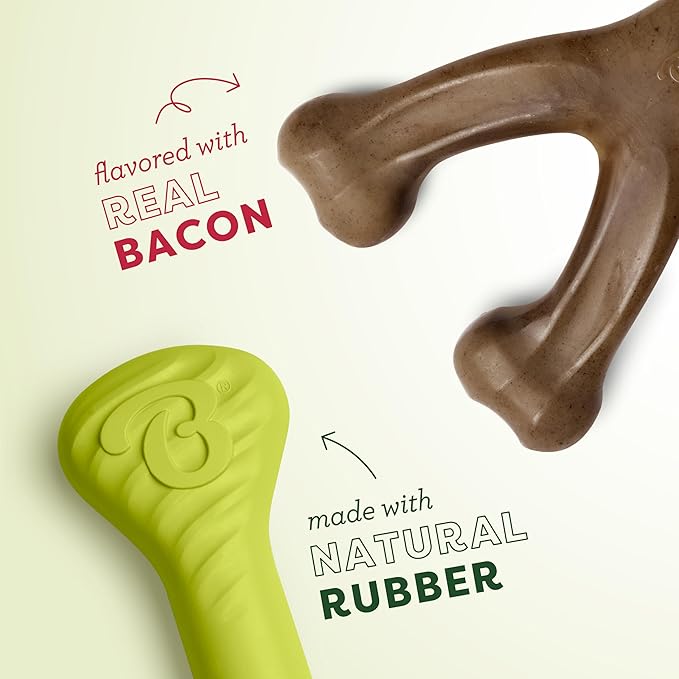 Benebone 2-Pack Bacon Wishbone/Rubber Bone Medium-Mewly Pet