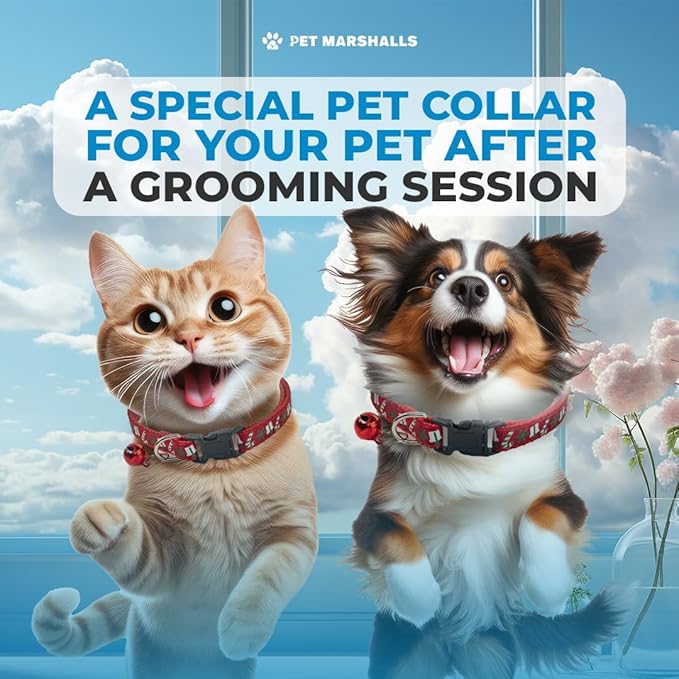 Pet Grooming Brushes Kit - 6-in-1 Complete Grooming Accessories for Deshedding, Detangling, and Dematting including Nail Clipper and File-Mewly Pet