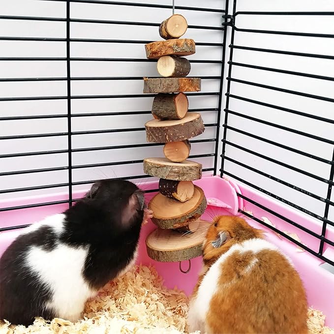 Natural Organic Apple Wood Chew Toys, 2 Pack Small Animal Snacks Toys Suitable for Bunny, Chinchilla, Guinea Pigs, Hamsters Teeth Grinding-Mewly Pet