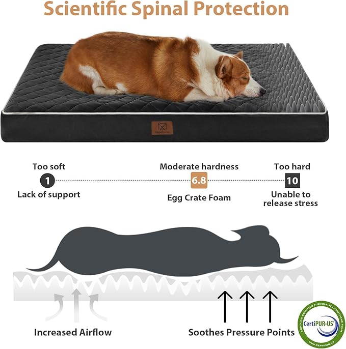 WNPETHOME Orthopedic Dog Bed Medium Size Dog, Waterproof Medium Dogs Bed with Removable Washable Cover, Multi-Needle Quilting Dogs Crate Bed-Mewly Pet