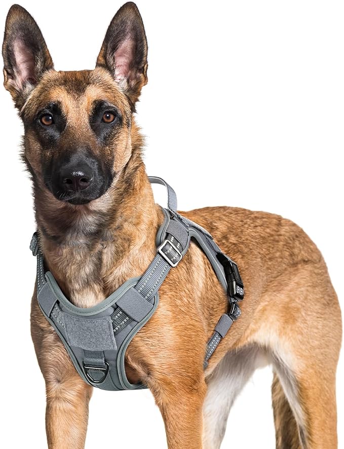 rabbitgoo Dog Harness for Large Dogs No Pull, Tactical Service Pet Vest with Molle and Control Handle, Adjustable and Reflective Military Harness for Easy Walking and Training, Grey, XL-Mewly Pet