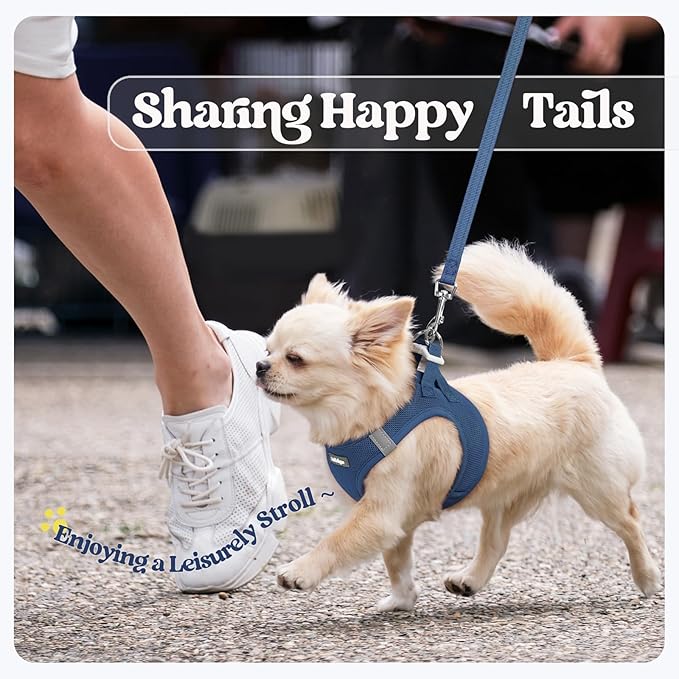 rabbitgoo Dog Harness Small Sized and Leash Set, Step in Soft Light Puppy Vest, Breathable Mesh Pet Harness, Reflective for Outdoor Safe Walking, Navy Blue XXXS-Mewly Pet