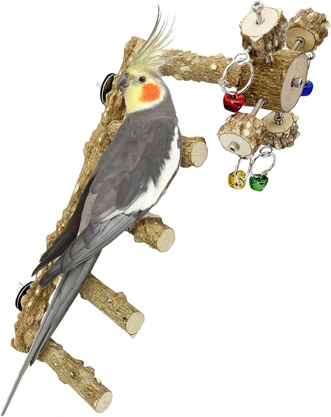 BNOSDM Natural Wood Bird Ladder Perch with Rotating Bell Toys-Exercise Stands for Parrot Climbing Chewing Parakeet Bridge Cage Accessories for Cockatiel, Conures, Lovebirds, Budgie-Mewly Pet