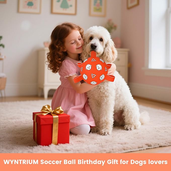 Dog Balls Toy, Durable Soccer Ball with Straps, Interactive Dog Toys, Water Fetch Ball for Tug of War, Herding, Dog Toys to Keep Them Busy – Dog Birthday Gift for Medium Large, 8 Inch-Mewly Pet