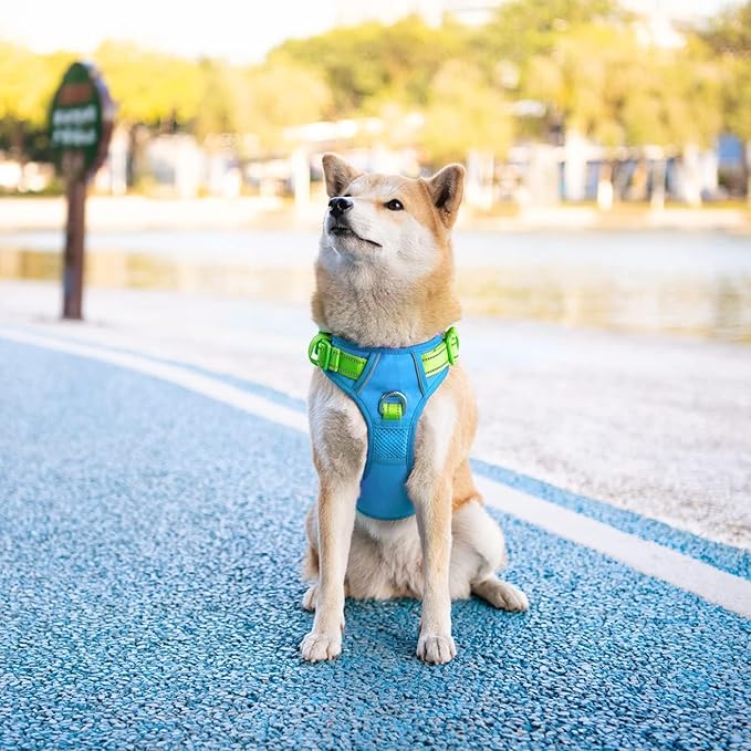 PHOEPET No Pull Dog Harness, Unique Colors Reflective Adjustable Dog Vest, with Soft Training Handle Metal Clips for Small Medium Large Dogs (Blue Base & Green Straps,M)-Mewly Pet