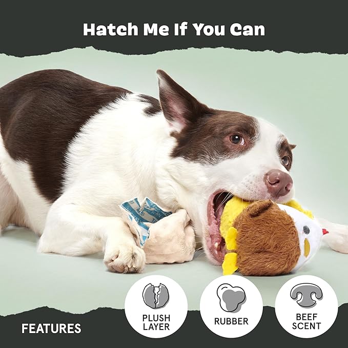 Barkbox Hatch Me If You Can Dog Toy for Medium to Large Aggressive Chewers Two-Layer Tearable Toy with Hidden Surprise Inside for Interactive Playtime-Mewly Pet