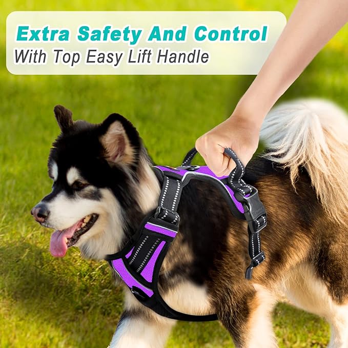 BARKBAY No Pull Dog Harness Large Step in Reflective Dog Harness with Front Clip and Easy Control Handle for Walking Training Running(Purple,M)-Mewly Pet