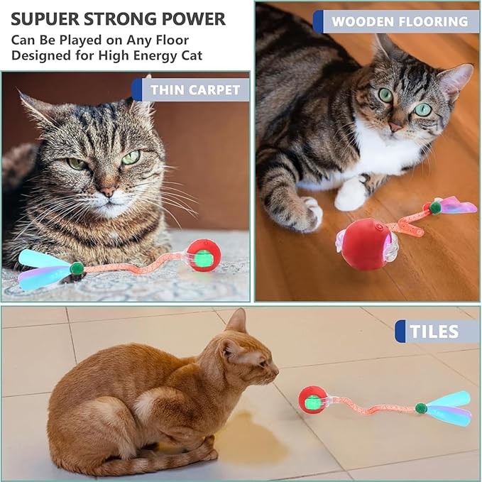 Speed 2.0 Tail Interactive Cat Toys for Indoor Cats, Chirping & Motion Activate Ca t Toy, Smart Kitten Rolling Ball Moving Ball Toys, Rechargeable Dog Cat Bal l for Enrichment Exercise (Red)-Mewly Pet