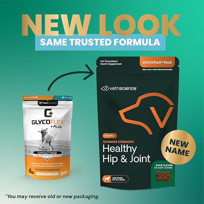 VetriScience Ultimate Strength Healthy Hip & Joint Chews, GlycoFlex Glucosamine, Chondroitin and Green-Lipped Mussel Joint Support Supplement for Dogs, Soothe Joint Discomfort, Duck, 60 Count-Mewly Pet