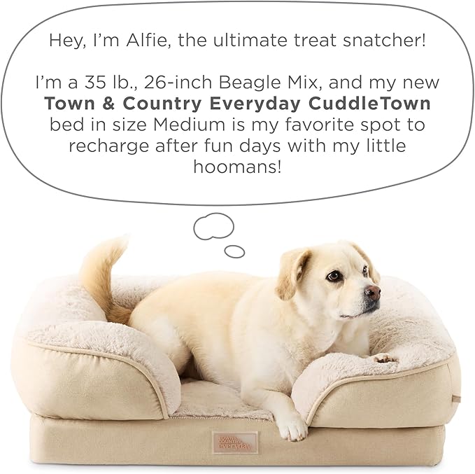 TOWN & COUNTRY EVERYDAY CuddleTown Comfy Solid Bolster Sofa Pet Bed, Supportive & Calming Egg Crate Foam, Non-Slip Bottom, Machine Washable Cover, Warm Taupe, Medium 28"x23"x8"-Mewly Pet