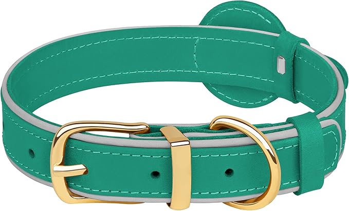 OOPSDOGGY Reflective Geniune Leather Airtag Dog Collar Soft Padded Collars for Small Medium Large Breed Dogs Puppy, 4 Sizes, 7 Colors (Teal, Small, 9"-12")-Mewly Pet