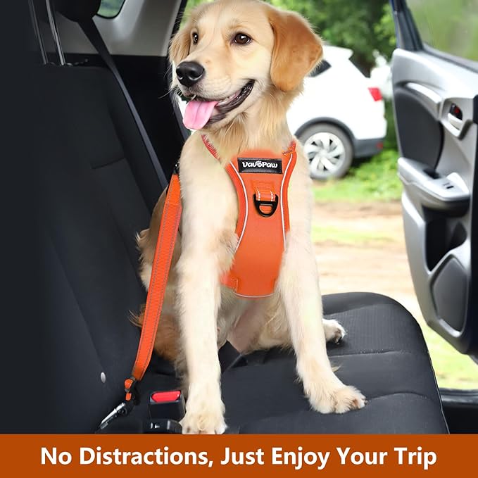 Dog Seat Belt Harness for Car, Dog Car Harness Adjustable Mesh Breathable & Dogs Seatbelt Safety Tether with Elastic Bungee for Small Medium Large Pets(Orange, L)-Mewly Pet