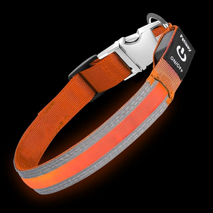 PetIsay LED Dog Collar Metal Buckle - Heavy Duty Light up Collars - Rechargeable IP68 Waterproof - Lighted Dog Collar for Night Walking, Hiking, Camping (Medium, Orange)-Mewly Pet