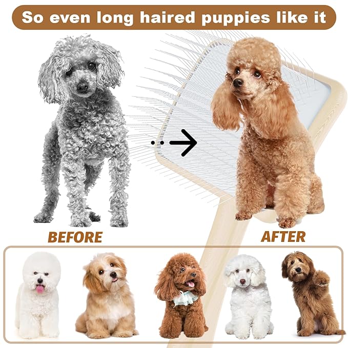 Slicker Brush for Dog, Doodles and Poodle Brush, for Tangles, Fluff Coat, Curly Hair Pets, Remove Loose Fur, Matts, Undercoat, Double Coat, 24mm Pins, 3.5''*2.4'' Head, Medium Size, Wood-Mewly Pet