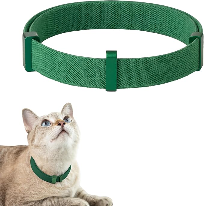 Safety Cat Collar Pro - U.S. IDA Gold Awarding Design, Elastic Quick Release Cat Collar with Buckle Non Breakaway - Lightweight for Kitten All Small Large Cats (Alpine Green, M 7.9-15.7")-Mewly Pet