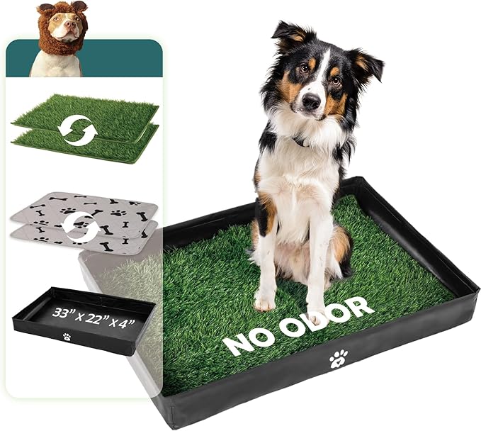 MEEXPAWS Dog Grass Pad with Foldable Dog Litter Box, Large Pee Pad Holder Foldable Liner Base High Side with Odor Free Artificial Grass for Puppy Potty Training Balcony, 2 PCS Reusable Pee Pads-Mewly Pet