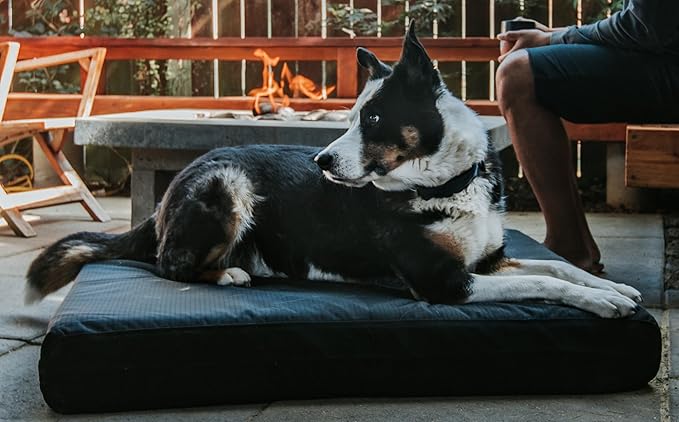 K9 Ballistics Tough Rip-Stop Orthopedic Rectangle Dog Bed Removable Washable Cover, Solid Orthopedic Foam for Size S Dogs 24"x18", Sandstone-Mewly Pet