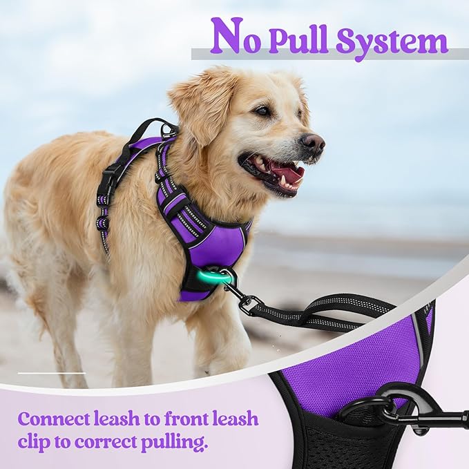 rabbitgoo Dog Harness No Pull with 2 Leash Clips, Adjustable Soft Padded, Reflective Oxford No Choke Pet Vest with Easy Control Handle for Large Dogs, Purple, XL-Mewly Pet