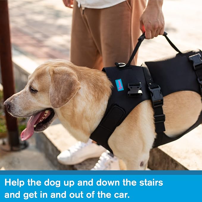 Dog Lift Harness, Rehabilitation Lifts Vest for Dogs, Support & Recovery Sling, Adjustable Breathable Lifting Straps for Old, Joint Injuries, Arthritis, Paralysis Dogs Walk (XL, Black)-Mewly Pet