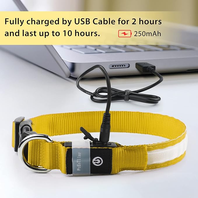 PcEoTllar Light up Dog Collar for Night Walking - LED Dog Collar Light Rechargeable Color Changing, Glow in The Dark Dog Collars Waterproof Glowing Dog Collars for Large Small Medium Dogs-Mewly Pet